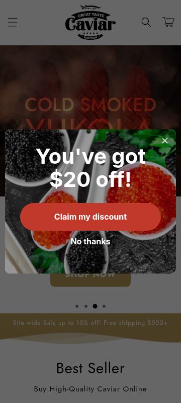US visitor on a phone, 8 seconds after opening the home page.